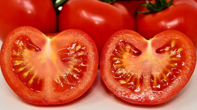Precio del kilo de tomate aumentó un 38% en una semana en las ferias del agricultor