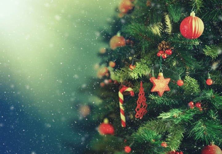 Hospital México iluminará su árbol navideño la noche de este viernes