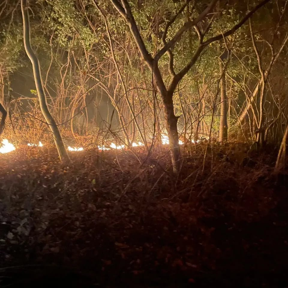 Autoridades llaman a la prevención para evitar incendios forestales en época navideña