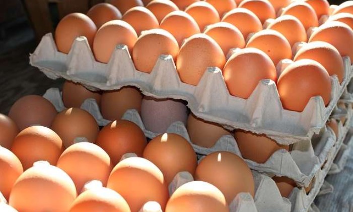 ¿Huevos caros? Aumento en la demanda y alza en costo de alimento para animales dispara precio de los huevos en Costa Rica