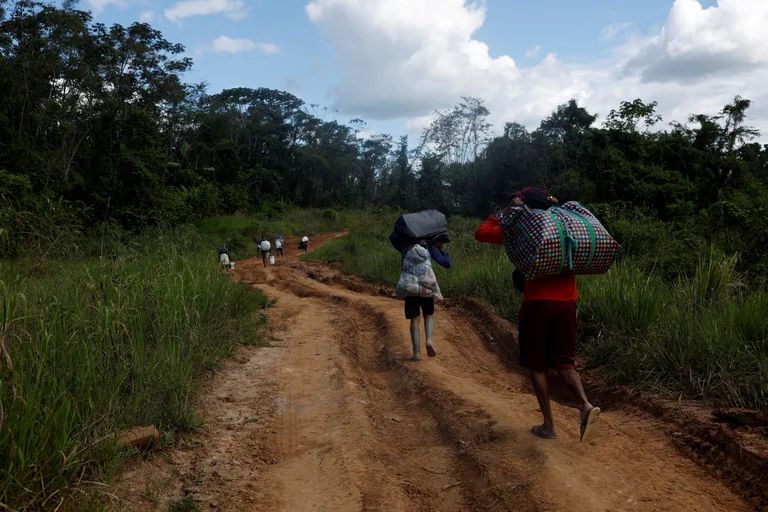 La CIDH pidió a Brasil revertir la crisis humanitaria de los Yanomami en la Amazonía causada por mineros ilegales