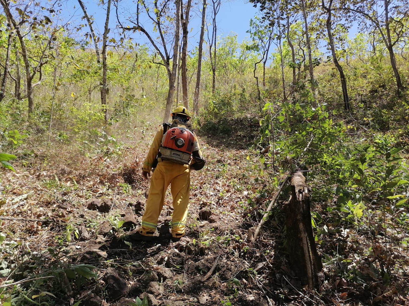 Bomberos confirma que incendios forestales están controlados y extintos tras daño a más de 1500 hectáreas