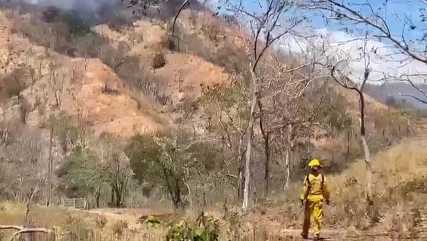País registra 12 incendios forestales este año: 3 siguen activos