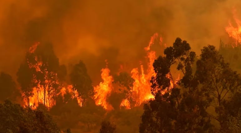 Nueva ola de calor hace temer recrudecimiento de los incendios forestales en el sur de Chile