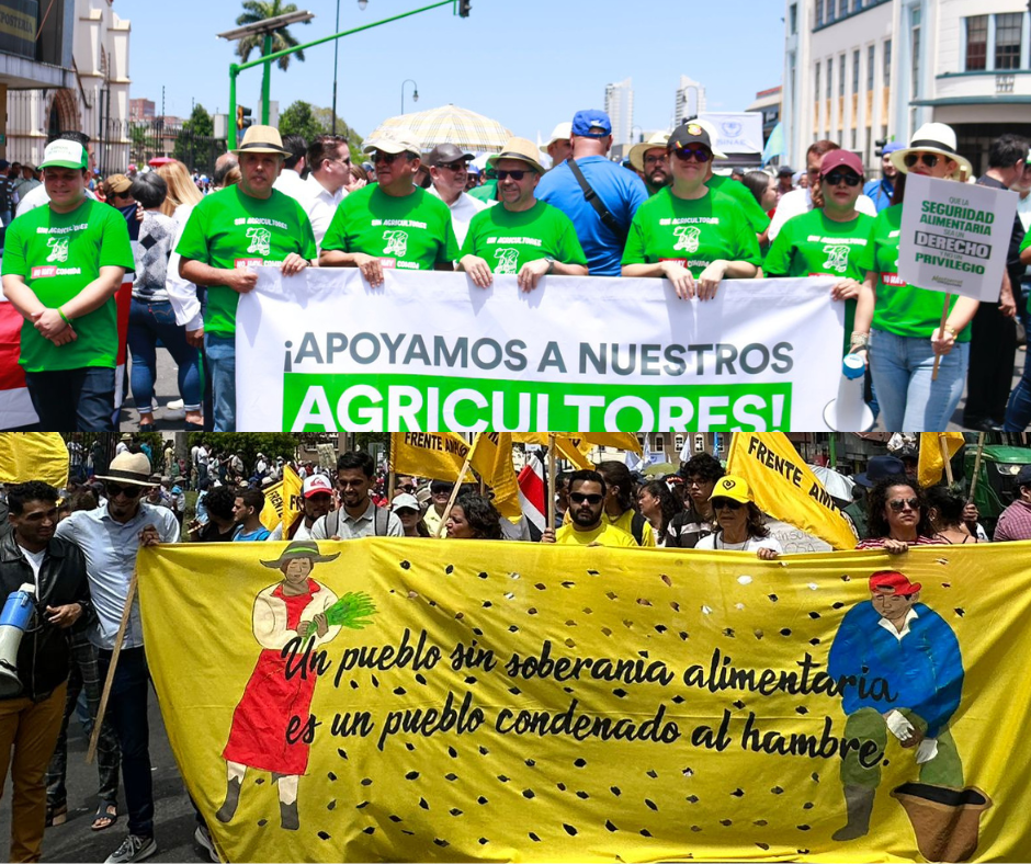 Diputados de oposición urgieron al gobierno ‘acciones y apoyo’ para el sector agropecuario del país