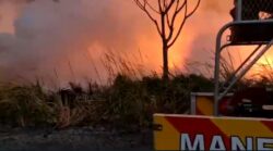 Bomberos se suman a atención de incendio forestal en Palo Verde: Esperan terminar de controlar emergencia en un par de días