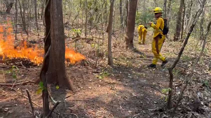 Bomberos atienden incendio forestal de hasta 40 hectáreas en Isla Chira