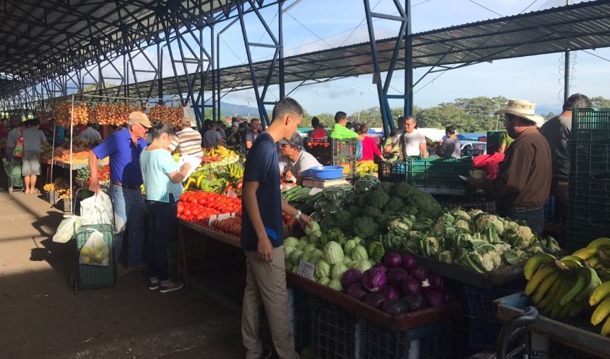 Precios del tomate, lechuga y zanahoria registran importante disminución en la Feria del Agricultor