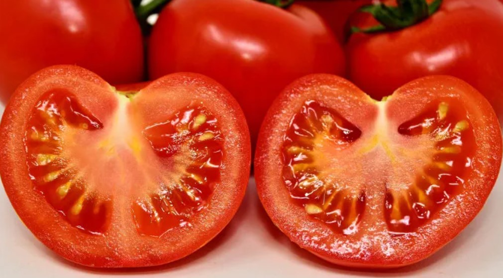 La cebolla y el tomate fueron los productos que más bajaron de precio en las Ferias del Agricultor en la última semana