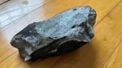 Creyeron que alguien había roto su casa arrojando una piedra, pero se llevaron una sorpresa de 4.500 millones de años