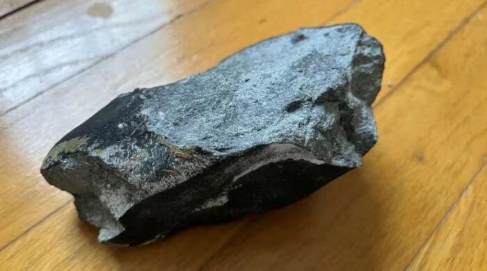 Creyeron que alguien había roto su casa arrojando una piedra, pero se llevaron una sorpresa de 4.500 millones de años