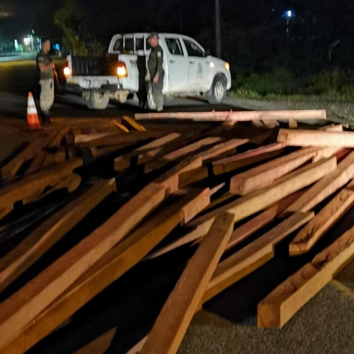 Autoridades ambientales realizaron decomiso de madera con valor comercial de ₡2,2 millones