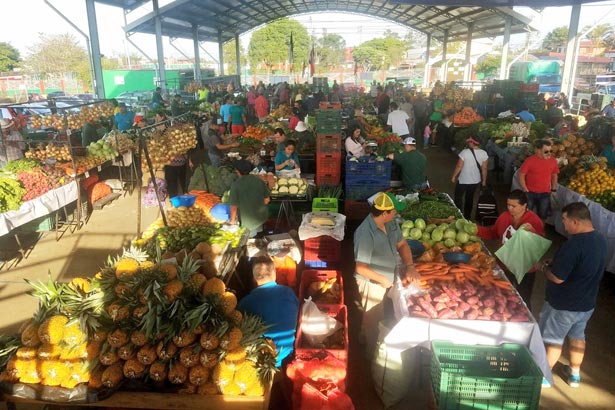CNP reporta que banano, tomate, huevos, piña y papa blanca están más baratos en ferias del agricultor