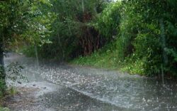 CNE contabilizó 16 incidentes por inundación en Desamparados, San Ramón y Curridabat