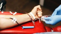 ¡Ayude a salvar una vida! Salud y CCSS hacen llamado a ser donantes de órganos y de sangre