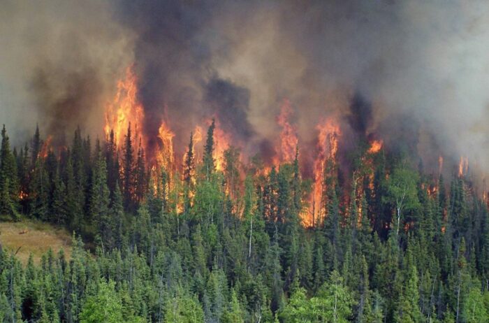 Época de incendios forestales finalizará en mayo: Bomberos reportaron más de 130 emergencias