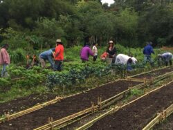Agricultores toman medidas ante altas temperaturas provocadas por el ‘Veranillo de San Juan’