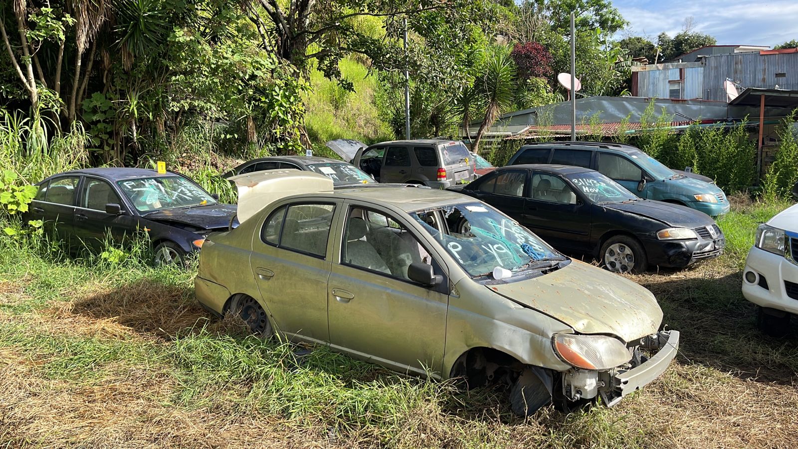 OIJ decomisa 37 vehículos que debían ser destruidos desde el 2019