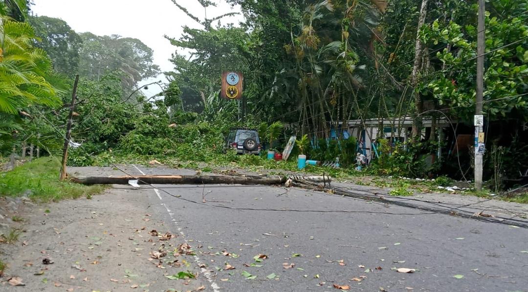 Más de 46 mil personas tuvieron problemas con electricidad y servicios públicos tras incidentes por fuertes vientos