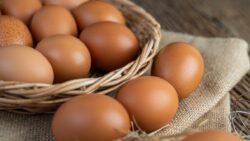 Precio del huevo en ferias del agricultor disminuyó 9% en el último año