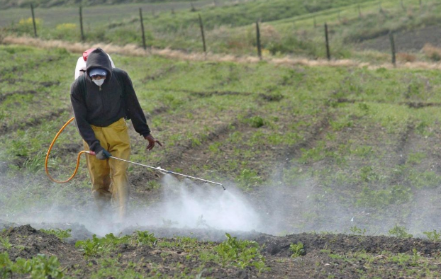 Proyecto de Ley busca prohibir 16 plaguicidas peligrosos en el país