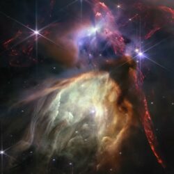 El telescopio James Webb celebra su primer año con una espectacular vista de 50 estrellas recién nacidas