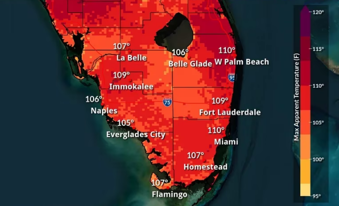 Alertas de calor en Miami: temperaturas podrían superar los 38 °C