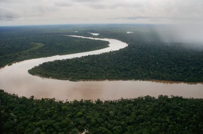 Cambio climático y deforestación: los principales problemas que enfrenta la Amazonía brasileña