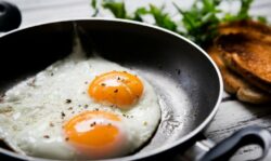 Altas temperaturas en mayo afectaron producción de huevos en ciertas partes del país: Precio aumentó 4% ese mes