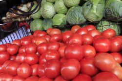 Precio del tomate en Ferias del Agricultor aumentó más de 15% en una semana por baja producción