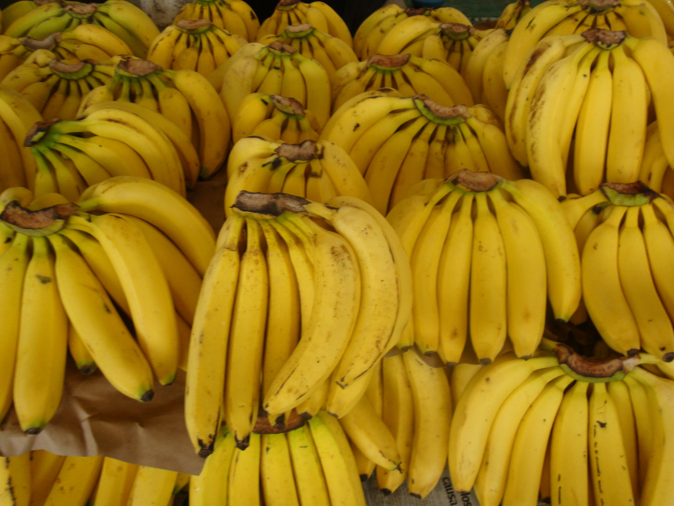 Precio del banano aumentó 18% en las ferias del agricultor: Tomate y repollo están más baratos
