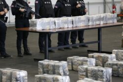 Nuevo escáner en puerto de Moín permitió detectar casi 900 kilos de cocaína con destino a Bélgica