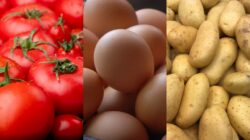Precio del tomate aumentó 16% en las Ferias del Agricultor durante el último mes