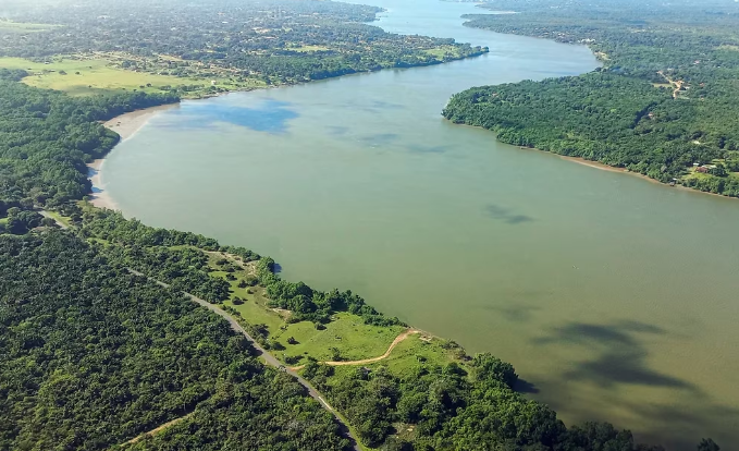 Brasil debe invertir 47 mil millones de dólares para recuperar sus bosques, pero los beneficios serán mayores