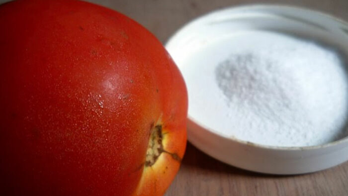 Precio del tomate fue el que más disminuyó en el último año: El de la sal el que más aumentó