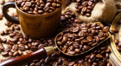 Día Internacional del Café: Costa Rica es el país #14 en producción mundial