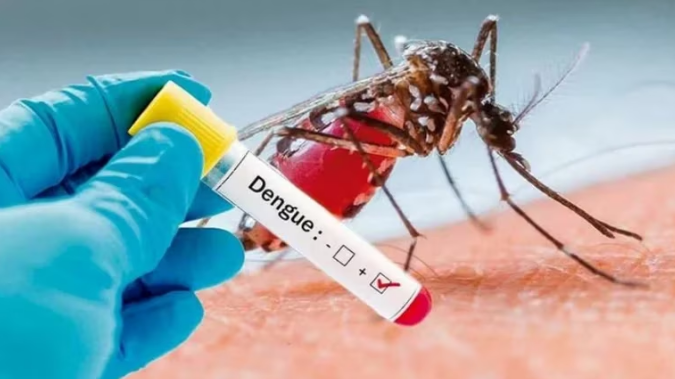 Costa Rica reportó más de mil casos nuevos por dengue en la última semana