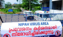 Ministerio de Salud se mantiene atento ante recomendaciones de la OMS por virus Nipah