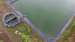 MAG anunciará plan para instalar reservorios en Guanacaste ante escasez de agua y Fenómeno del Niño