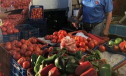 Productos para preparar ensalada verde con tomate están más baratos en la feria del agricultor