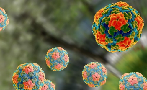 Salud registra 1.300 casos más de Hepatitis “A” este año en comparación al 2022