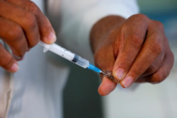 La OMS aprobó una vacuna contra la malaria desarrollada por la Universidad de Oxford