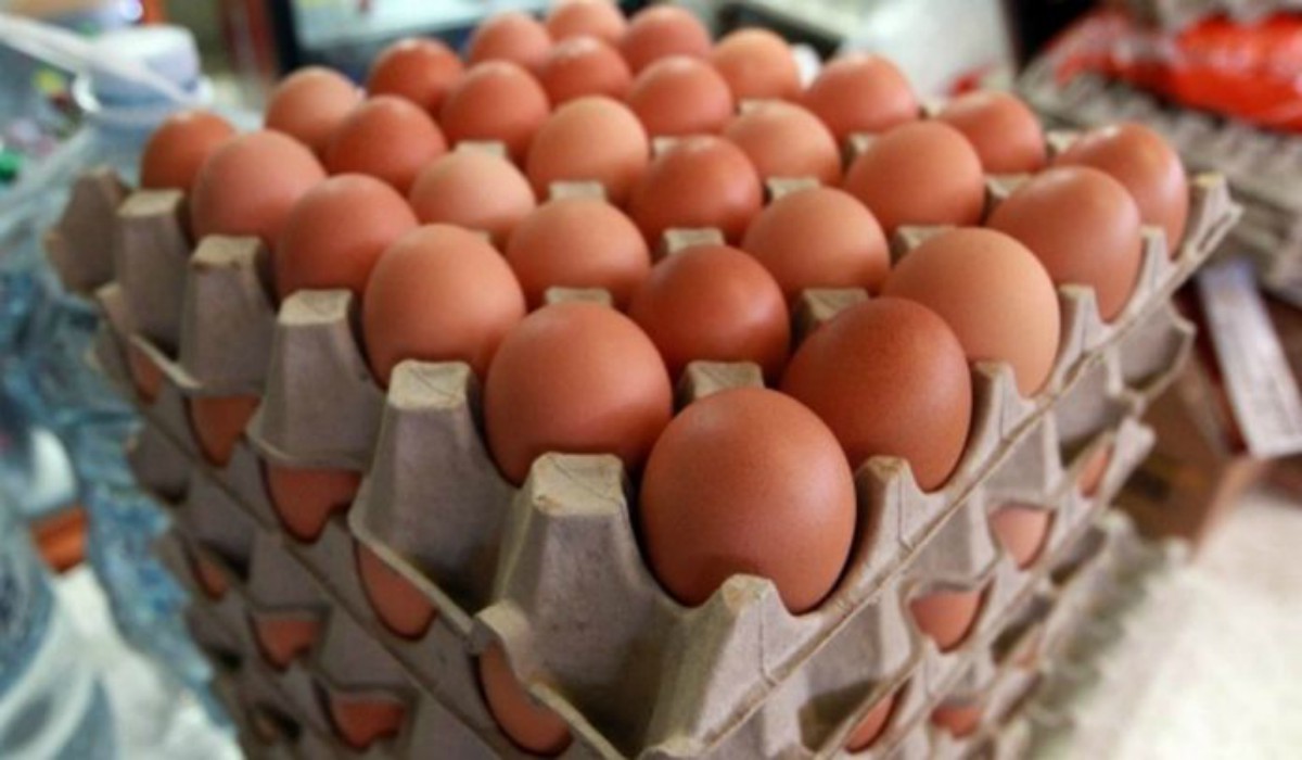 Productores calculan que costarricenses consumen 240 unidades de huevos al año
