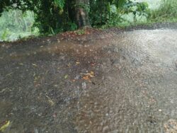 Tormenta Tropical Pilar provoca inundaciones y problemas en caminos en Guanacaste y Puntarenas