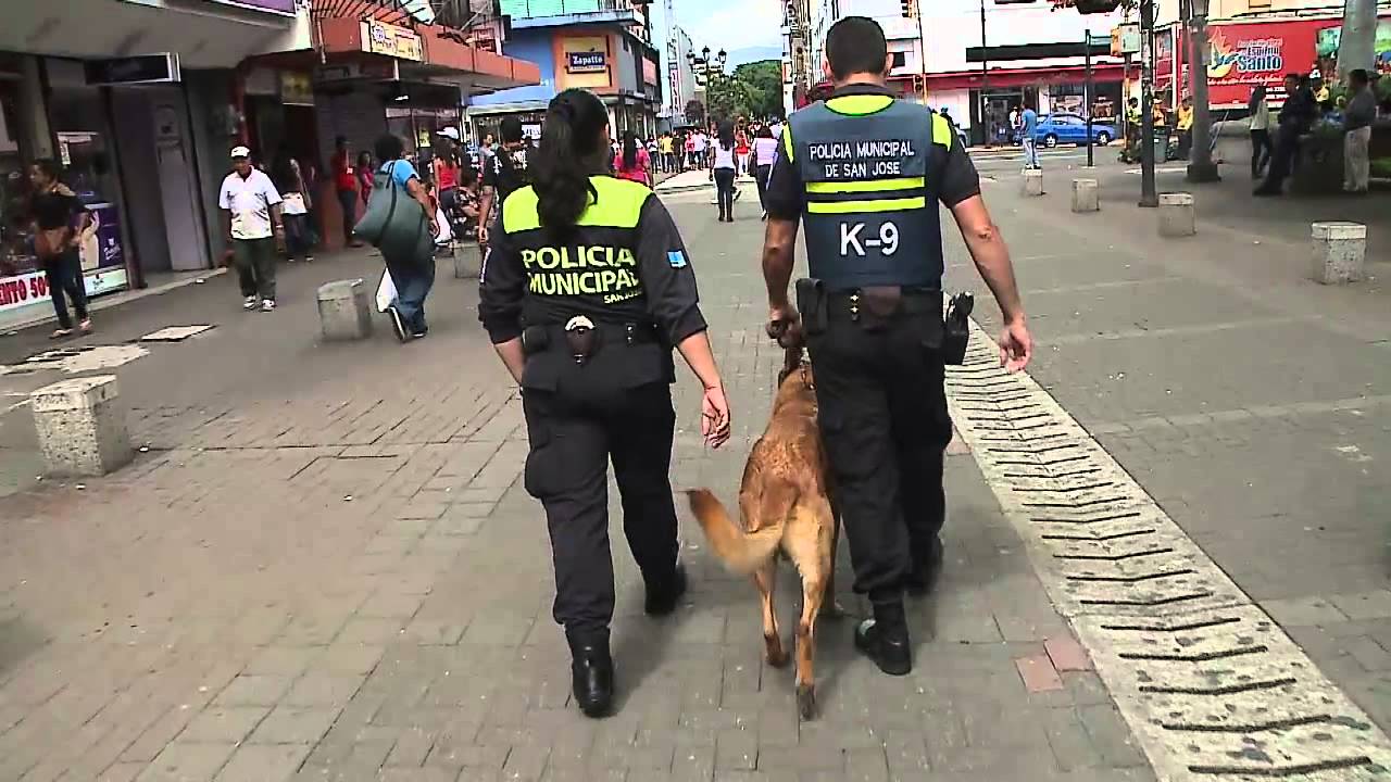 Seis de cada diez cantones en Costa Rica no cuentan con una policía municipal