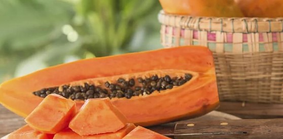 Precio de la papaya nacional refleja caída de ¢280 por kilo desde finales del 2022