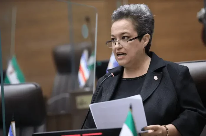 TSE declara con lugar recurso de amparo electoral presentado por diputada Carolina Delgado en contra del PLN