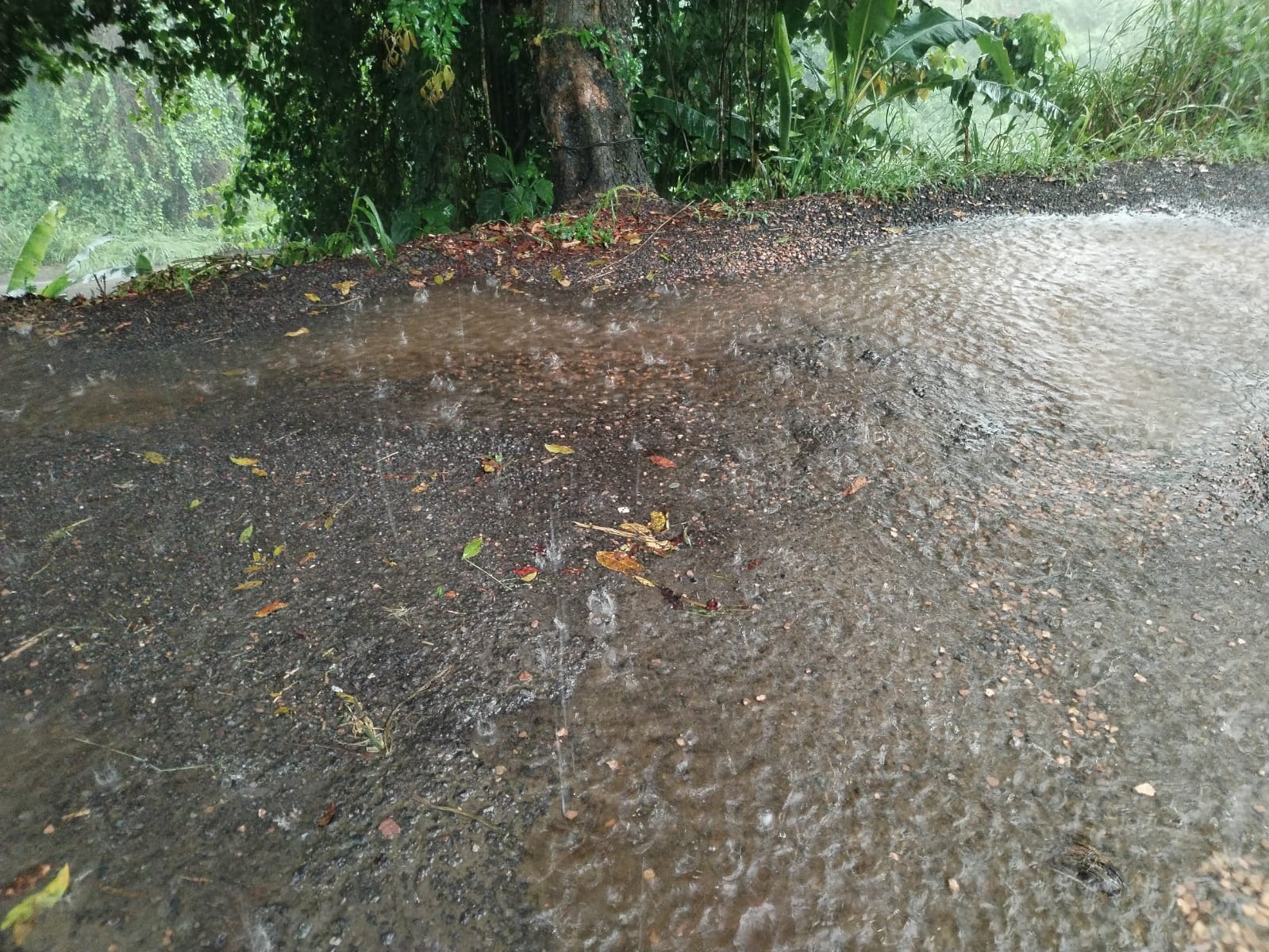 Lluvias, ríos desbordados y saturación de alcantarillas generaron afectación en viviendas y carreteras de Nandayure