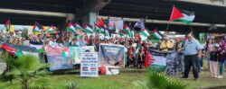 Grupo a favor de Palestina se manifestará el próximo jueves en la Plaza de la Cultura para urgir un cese al fuego