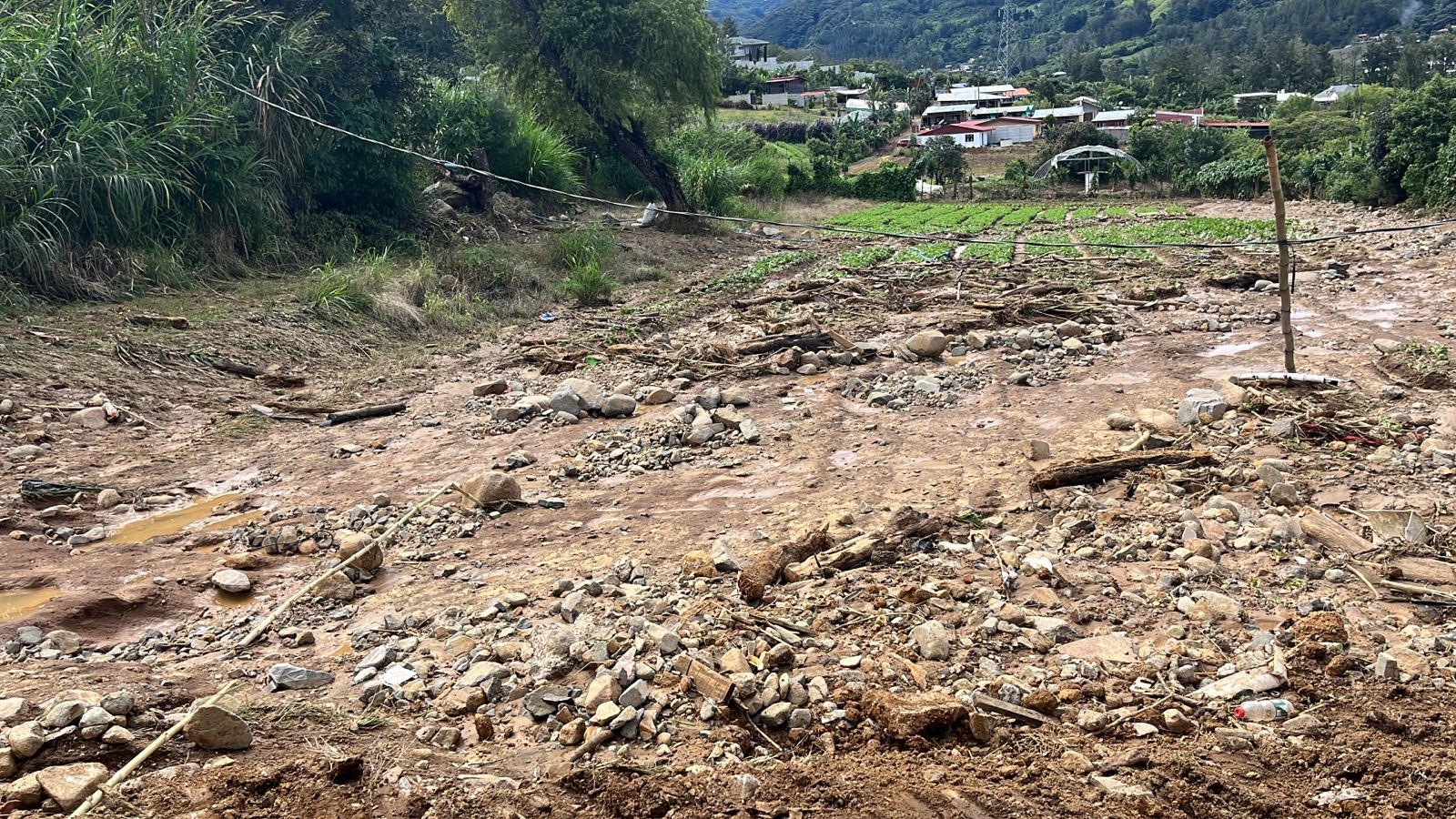 Agricultores de El Guarco solicitan ayuda tras pérdida de 15 hectáreas de hortalizas por inundaciones